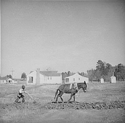 Plowing a field at Palmerdale, Alabama. New homestead in the background