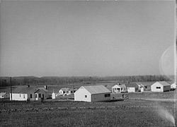 Greenwood Homesteads community. Alabama